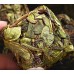 Zhangping Shuixian oolong tea, with floral fragrance like orchid and osmanthus